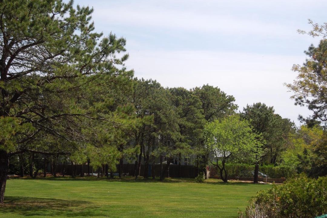 Photo of Others in Shinnecock Hills