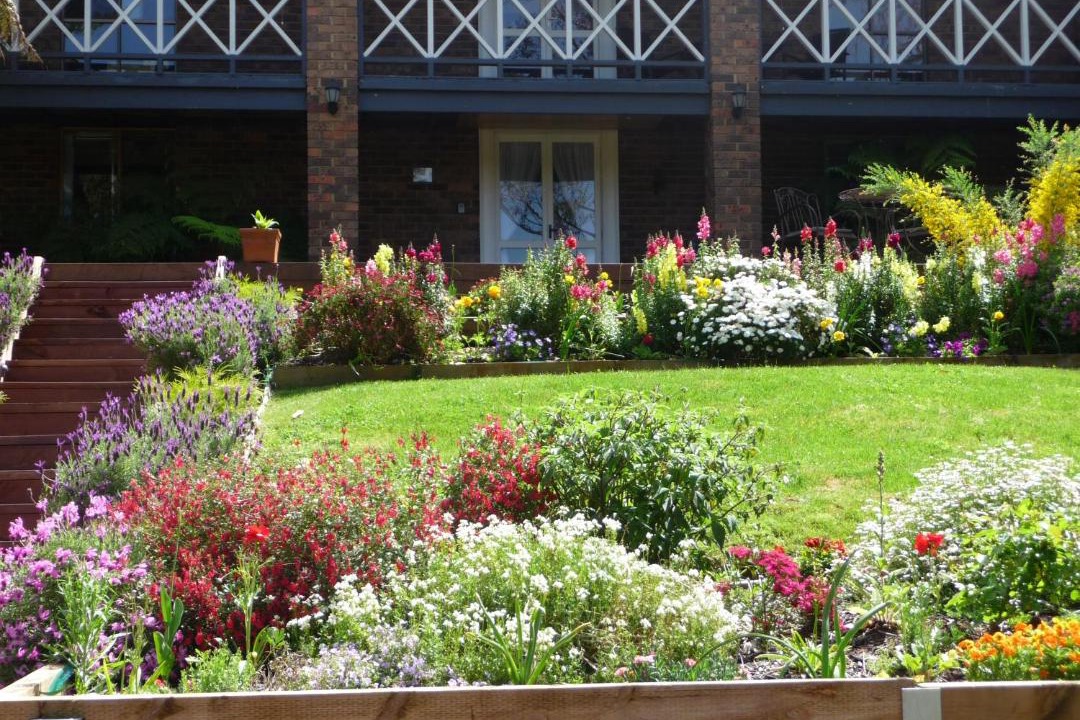 Photo of Others in Emerald