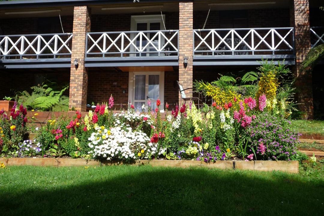 Photo of Others in Emerald