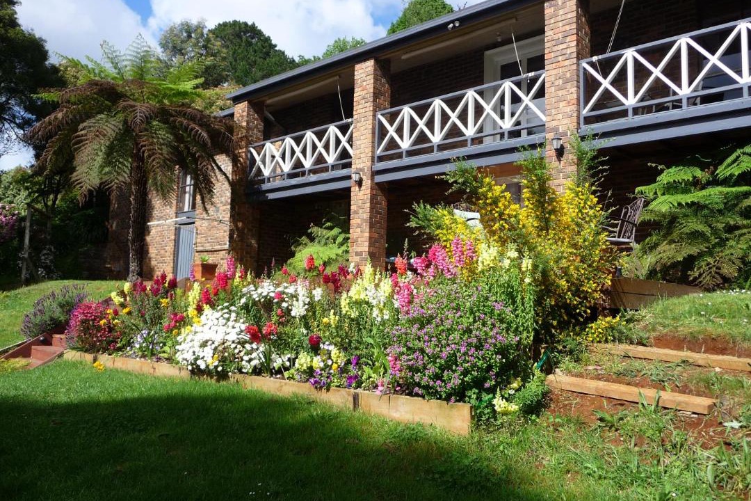 Photo of Others in Emerald