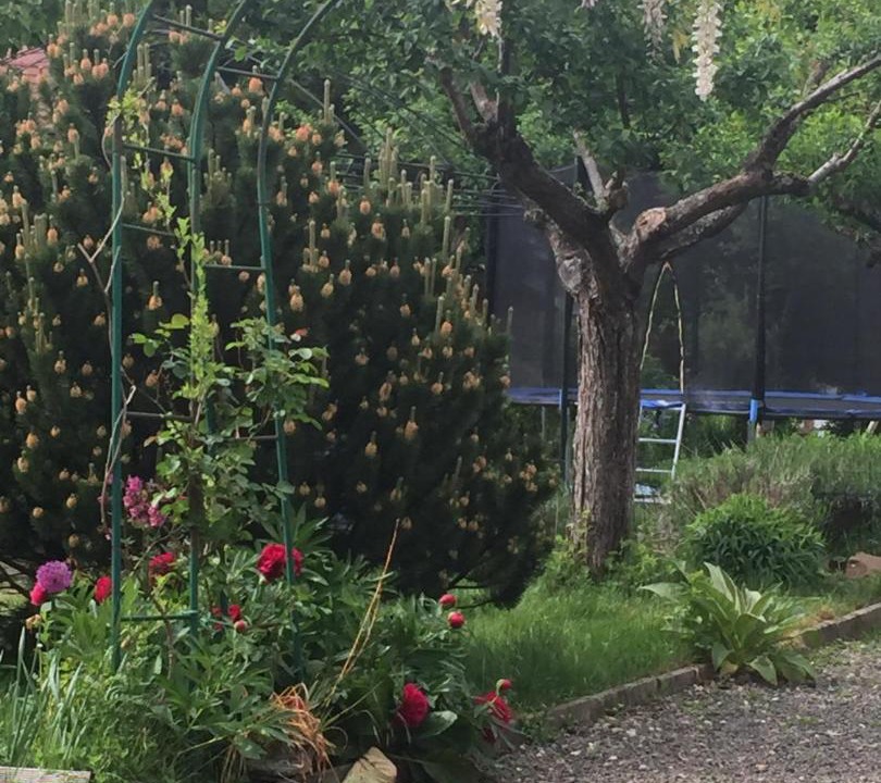 Photo of Outdoor in Rothau