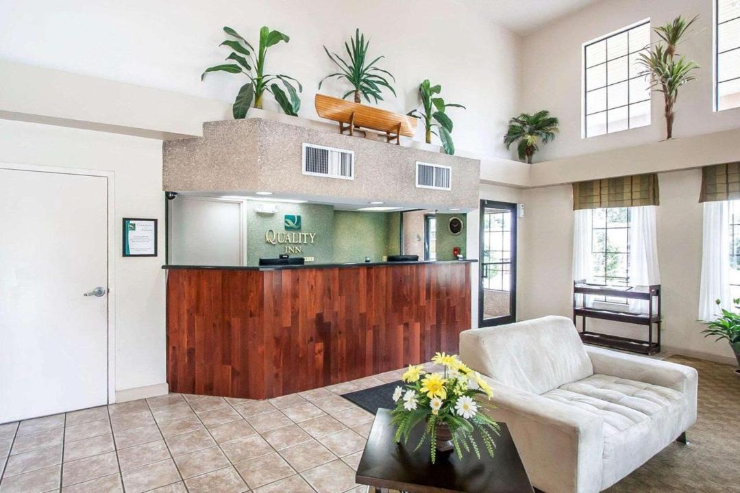 Photo of Livingroom in Savannah