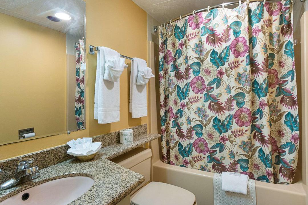 Photo of Others in Milford