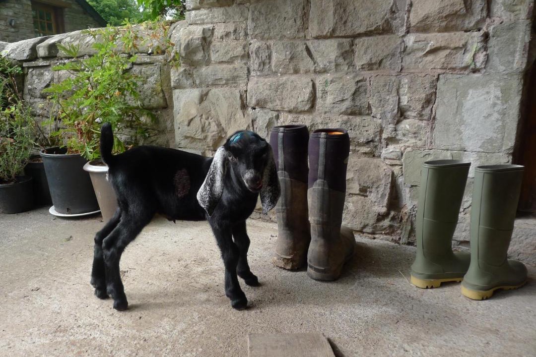 Photo of Others in Westbrook Court