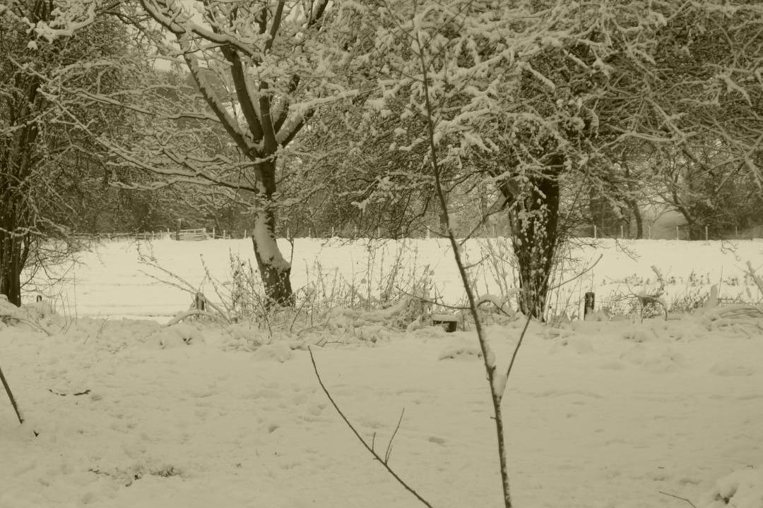 Photo of Others in Westbrook Court