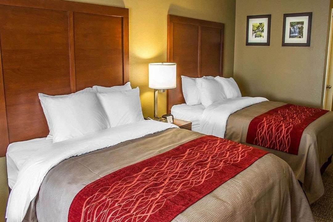 Photo of Others in Roseburg