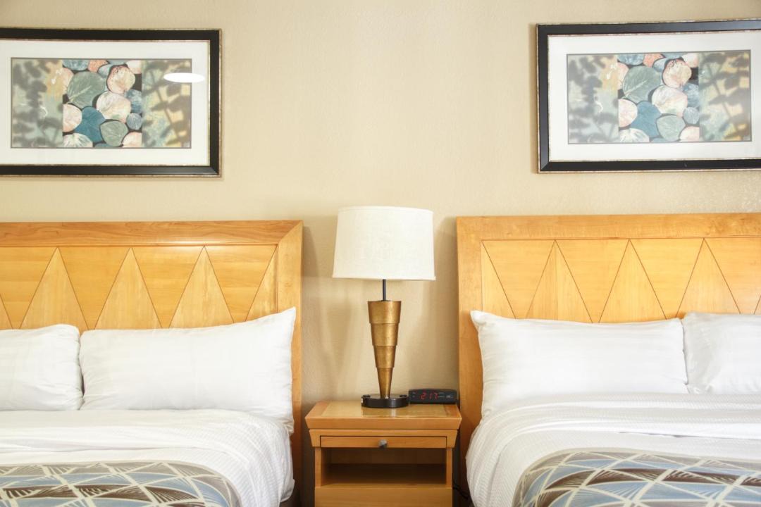 Photo of Others in Adams