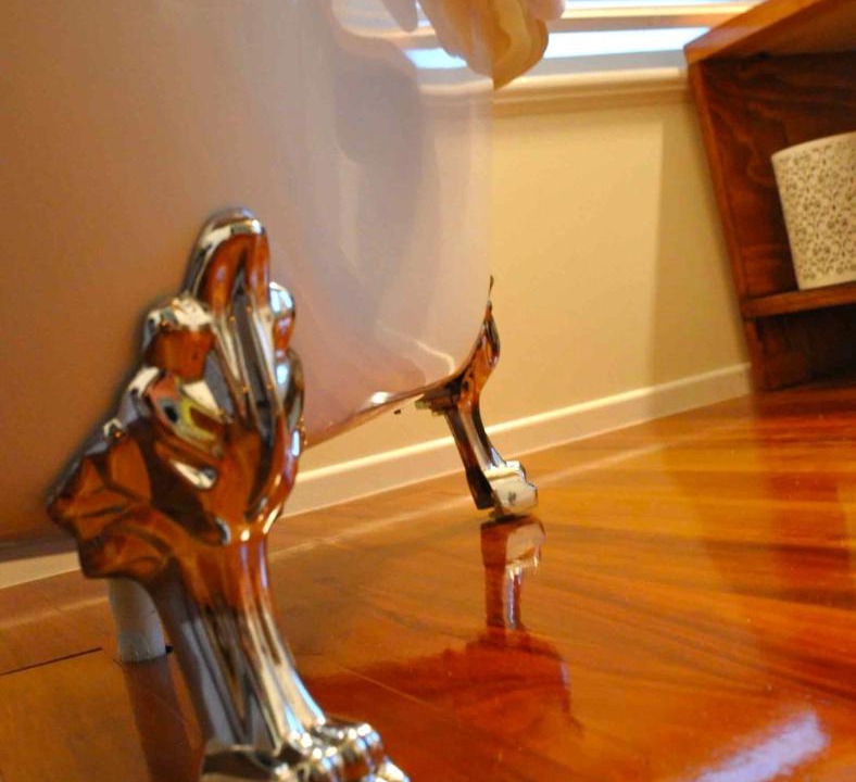 Photo of Others in New Plymouth