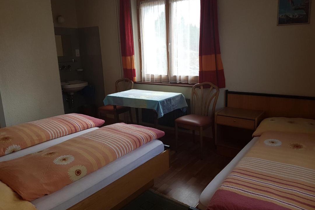 Photo of Others in Simplon
