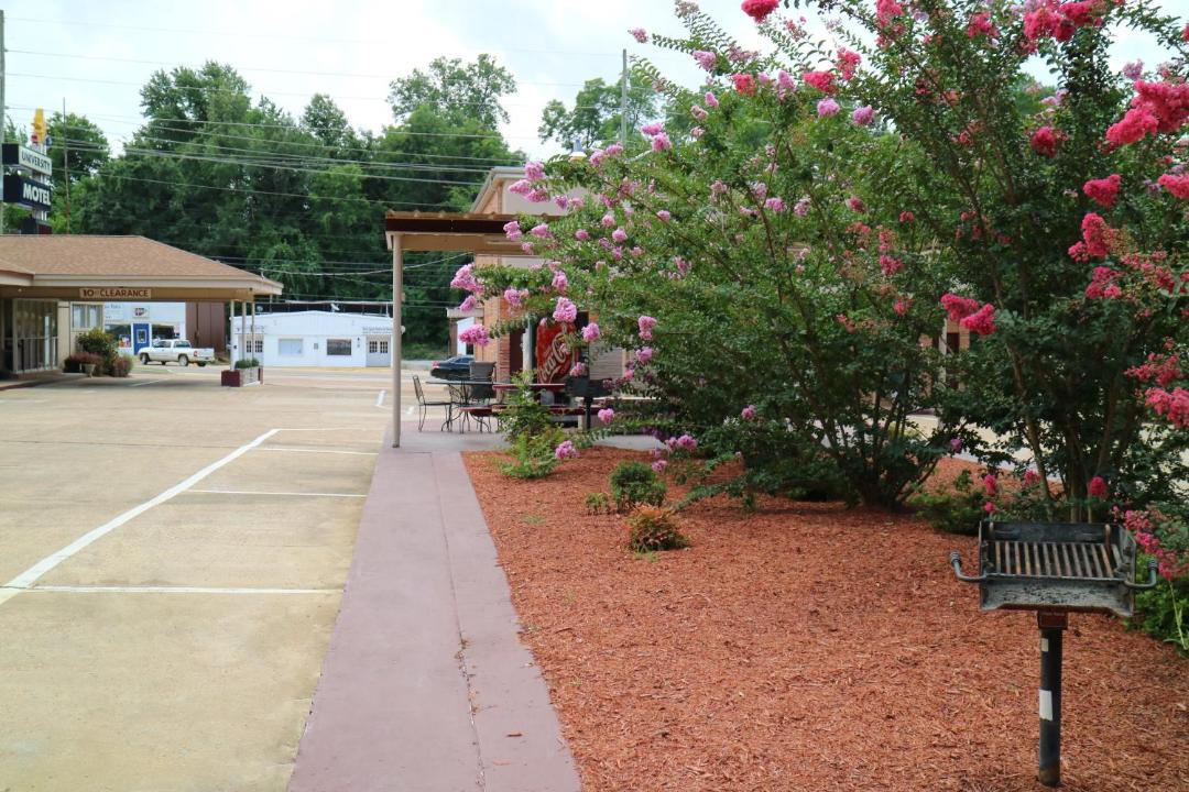 Photo of Others in Starkville