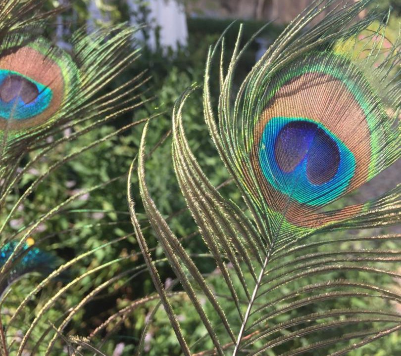 Photo of Others in Saint-Jean-aux-Amognes