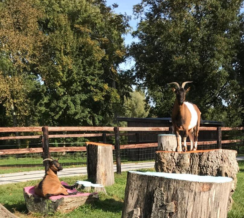 Photo of Others in Goulet