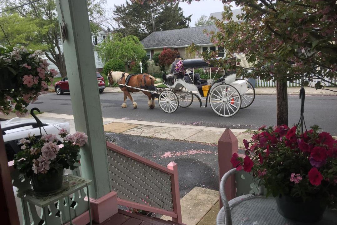 Photo of Others in Cape May