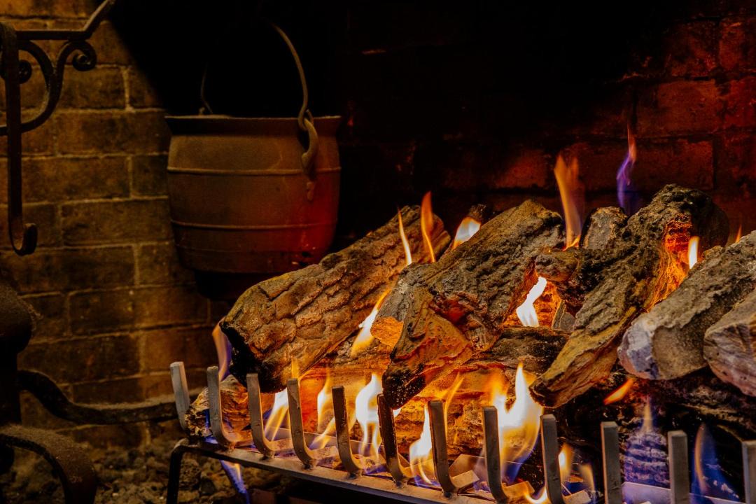 Photo of Others in Hamilton