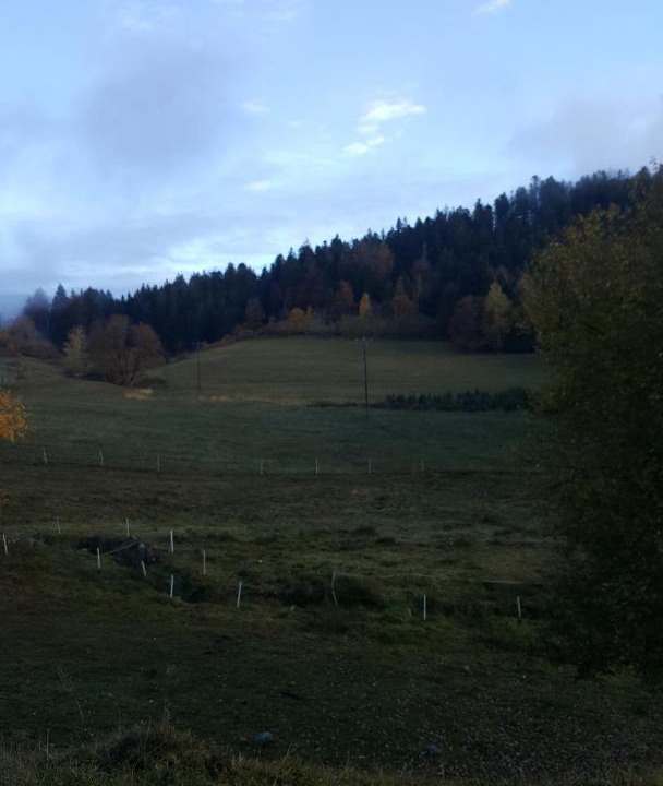 Photo of Others in Le Tholy