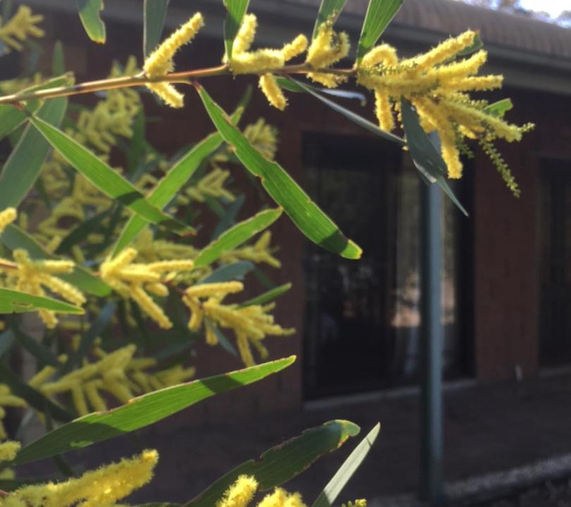 Photo of Others in Quorrobolong