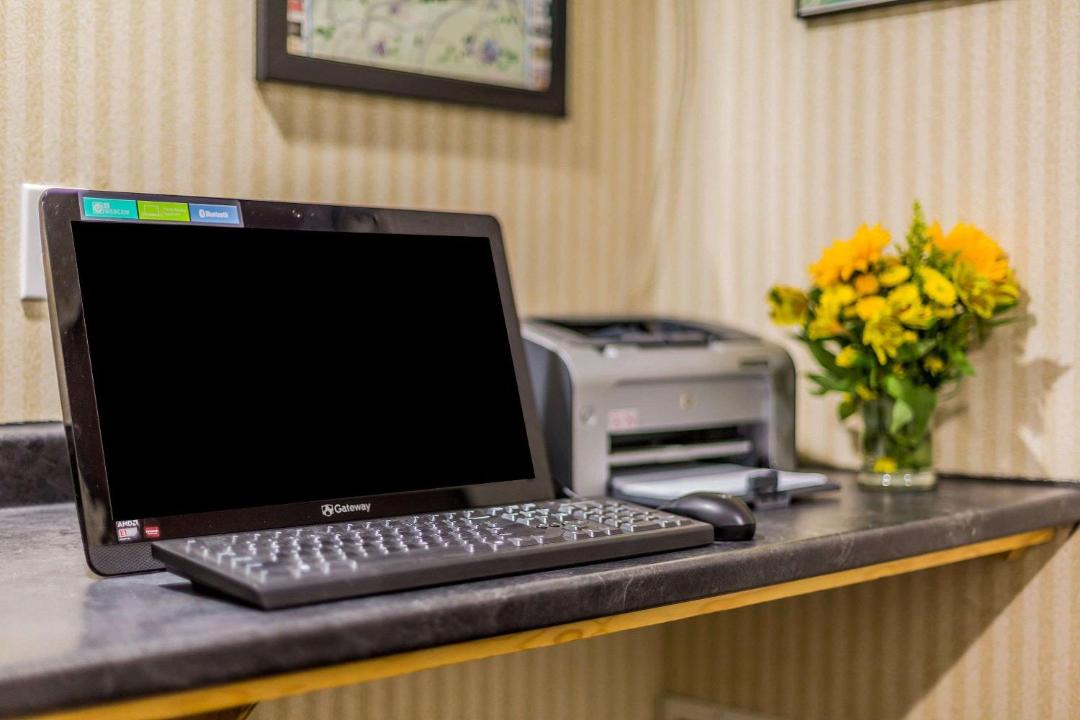 Photo of Others in Hyde Park