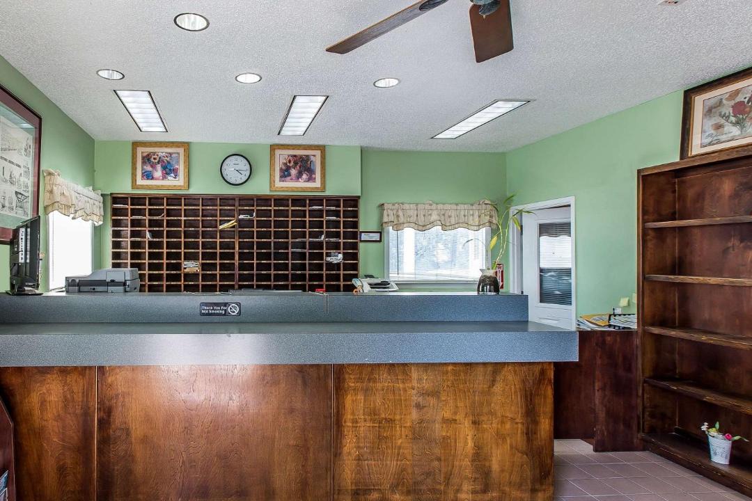 Photo of Others in Windsor Forest