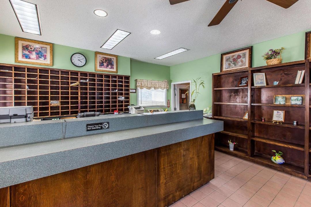 Photo of Others in Windsor Forest