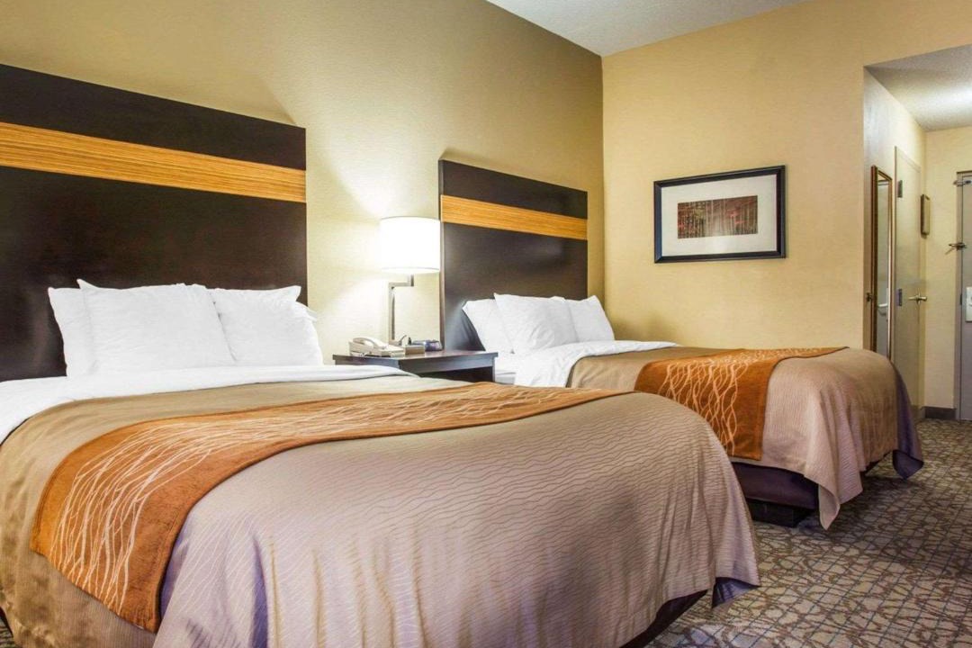 Photo of Others in Stone Mountain