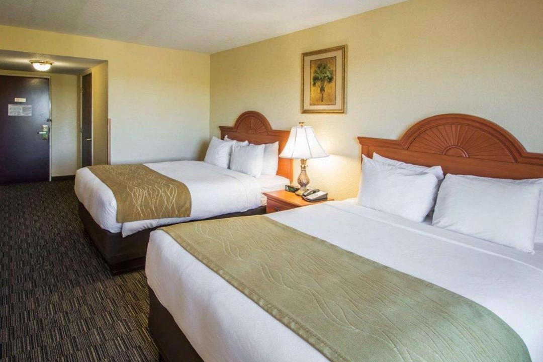 Photo of Others in Jupiter