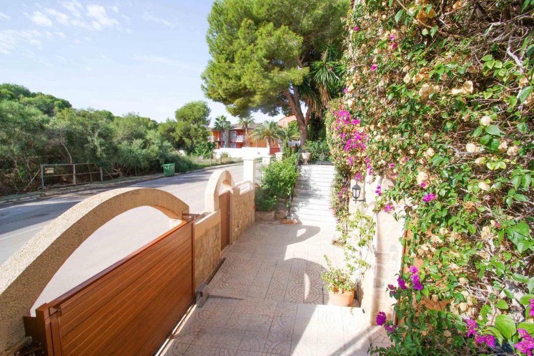 Photo of Others in Dehesa de Campoamor