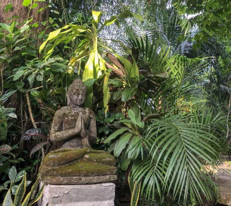 Photo of Others in Bunaken