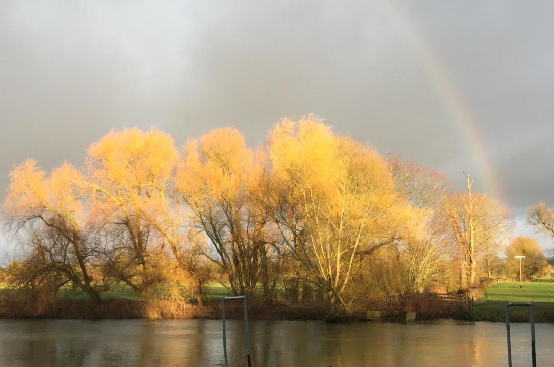 Photo of Others in Wallingford