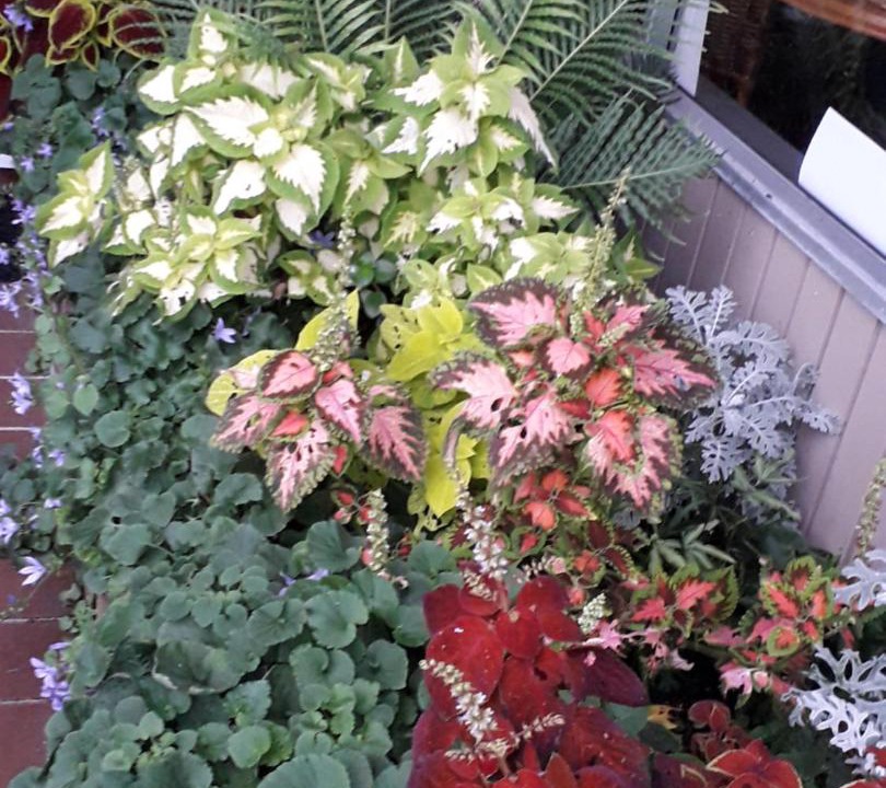 Photo of Others in Eskdale