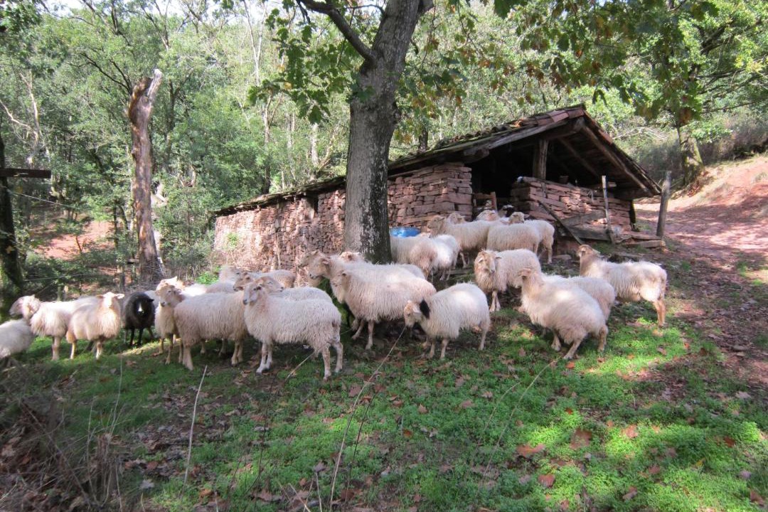 Photo of Others in Narbarte