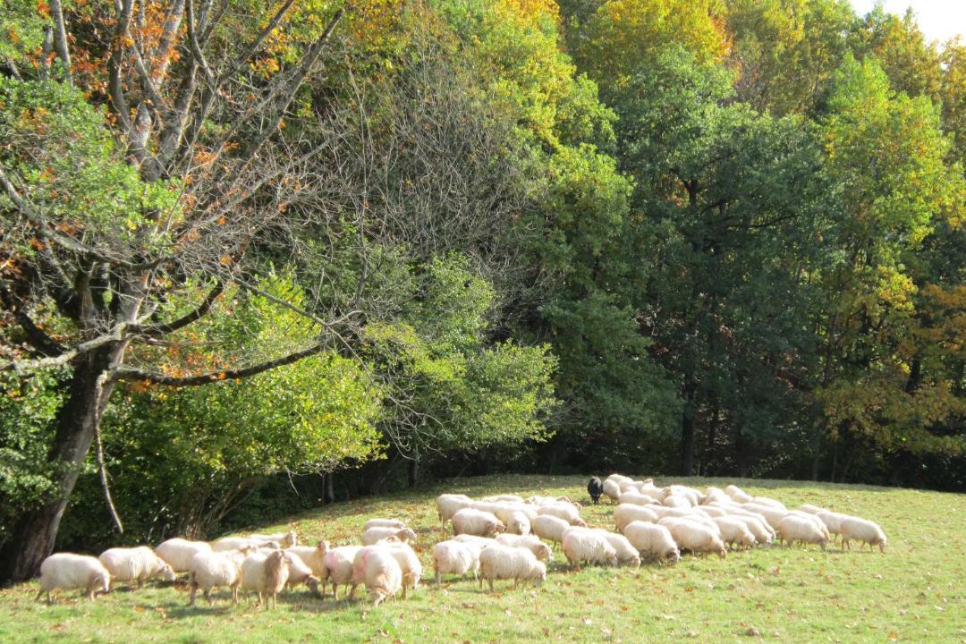 Photo of Others in Narbarte