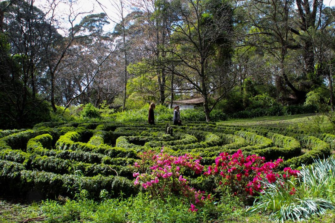 Photo of Others in Mount Tomah