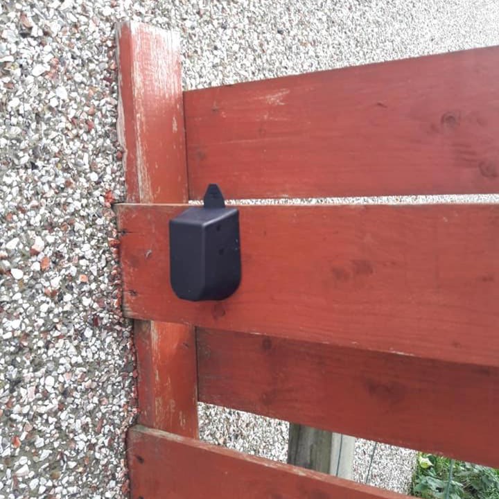 Photo of Others in Kirkwall