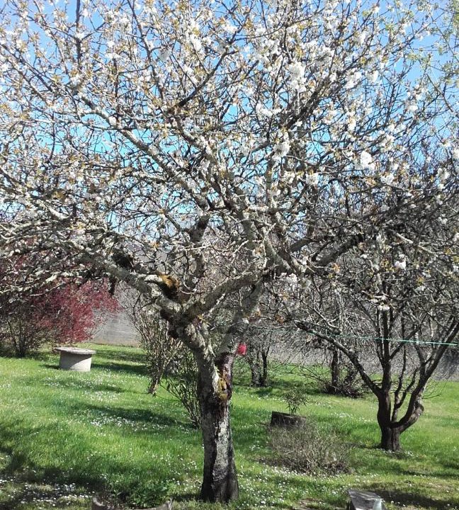 Photo of Others in Saint-Medard-de-Guizieres