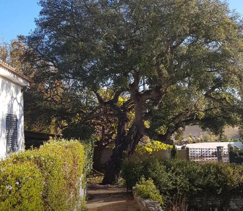 Photo of Others in Ghisonaccia