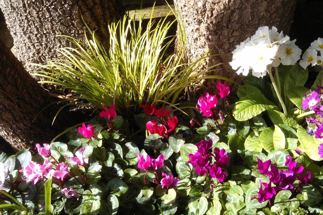 Photo of Others in Truro