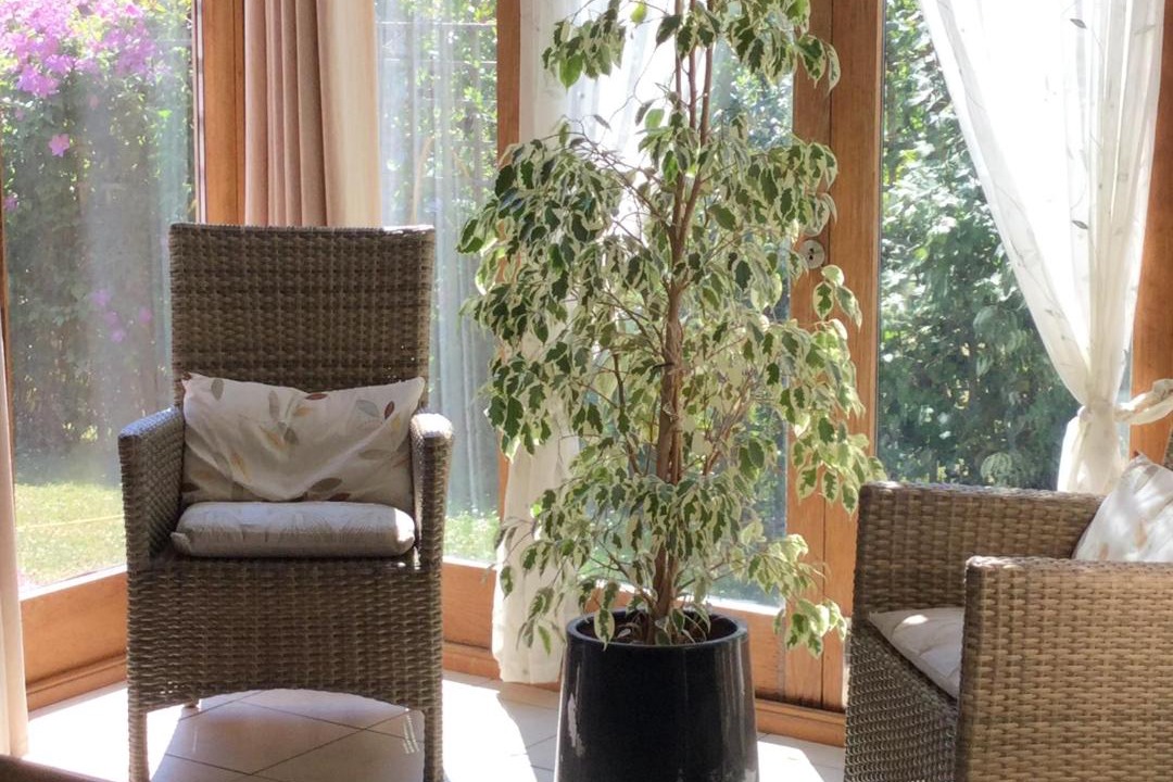 Photo of Livingroom in Chichester