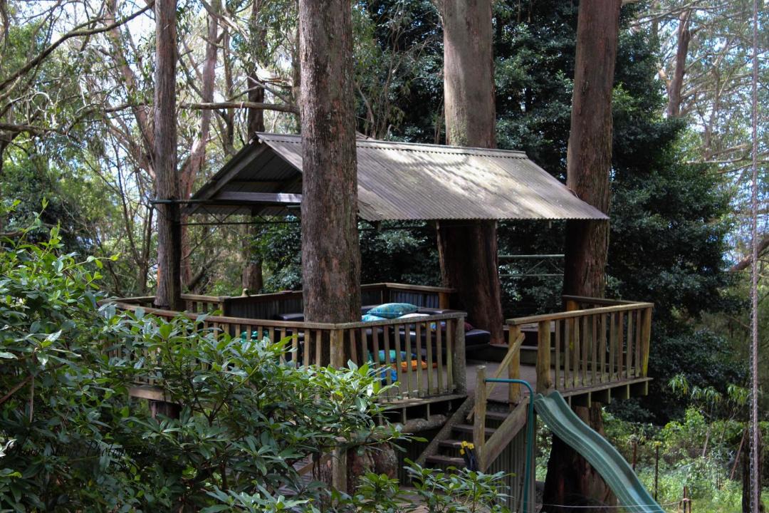 Photo of Others in Mount Tomah