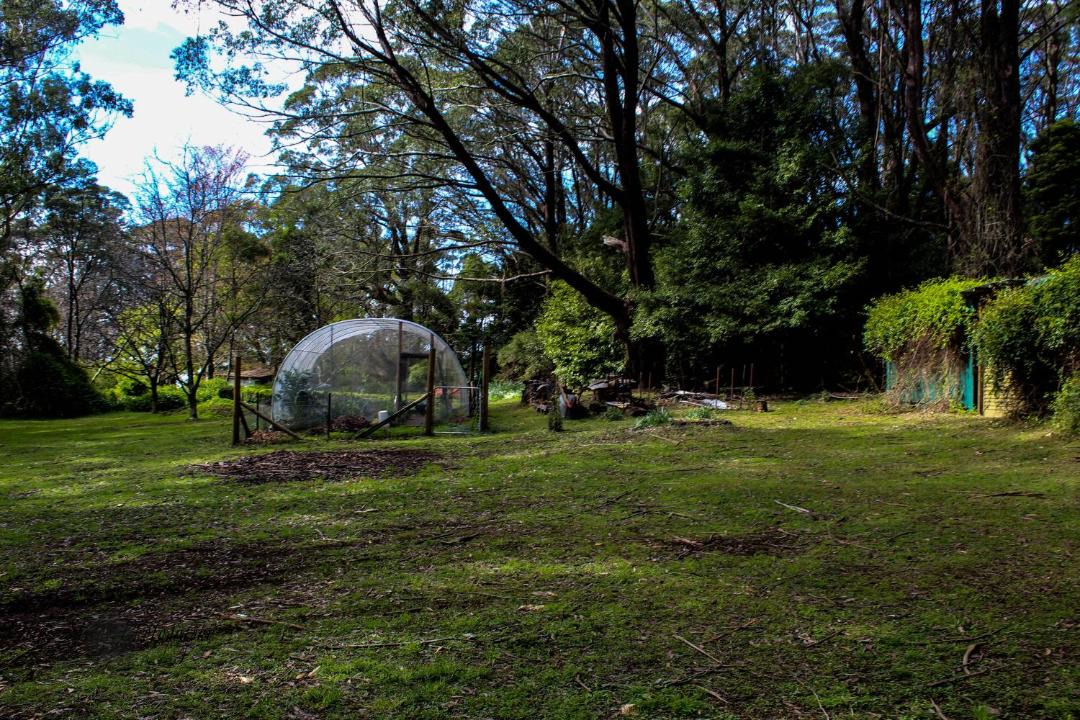 Photo of Others in Mount Tomah