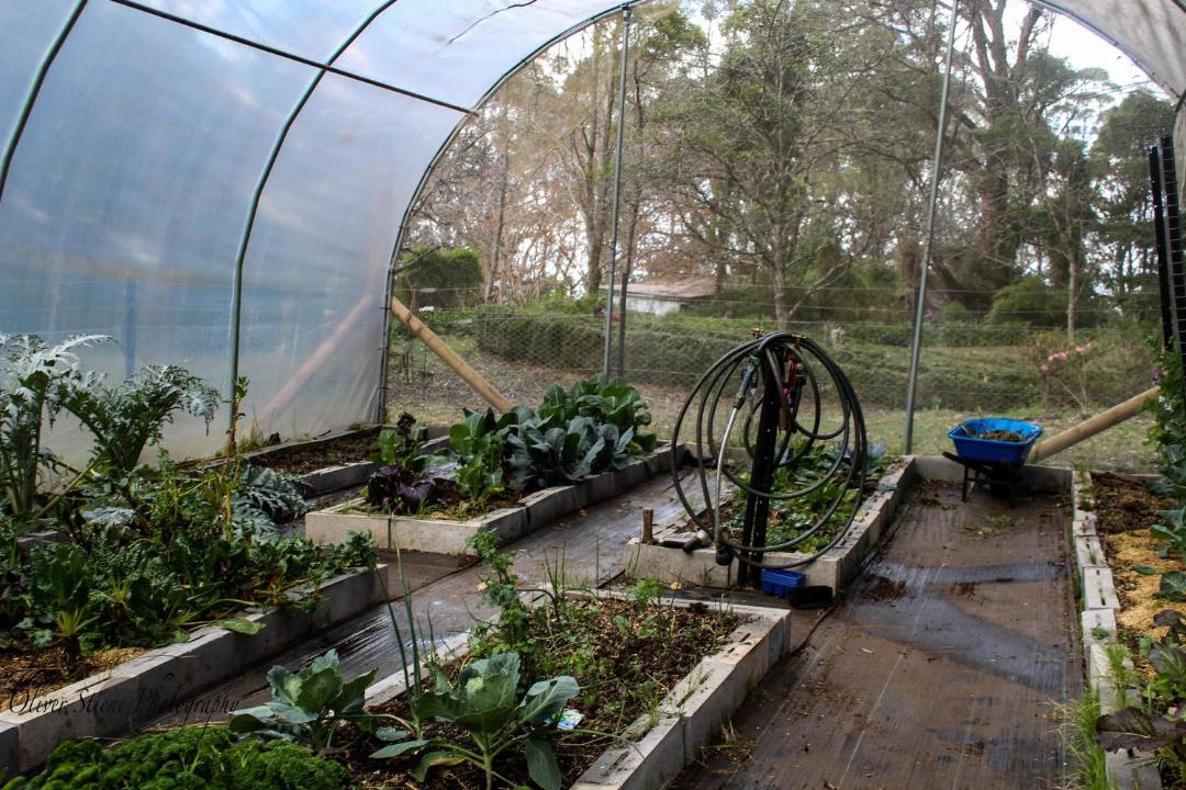 Photo of Others in Mount Tomah