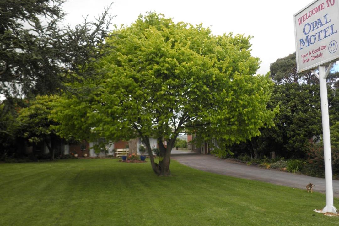 Photo of Others in Leongatha