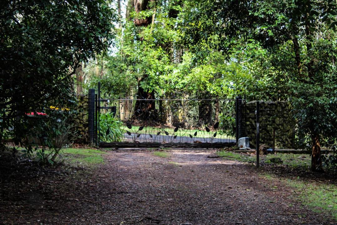 Photo of Others in Mount Tomah