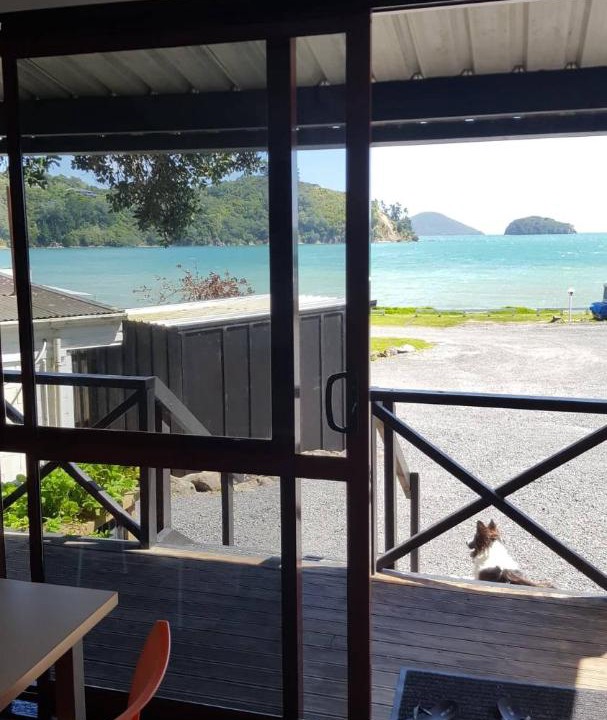 Photo of Others in Coromandel