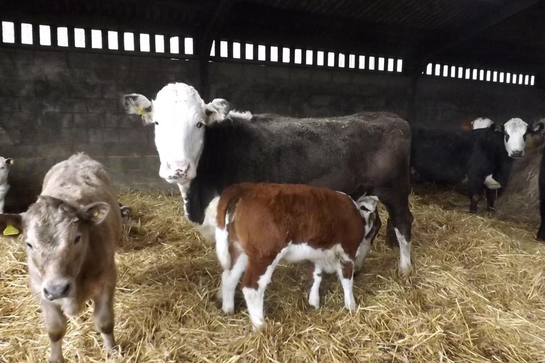 Photo of Others in Twywell