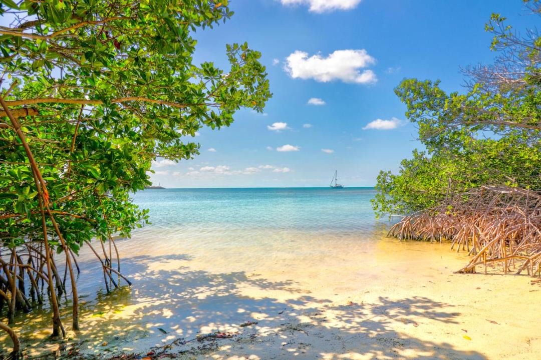 Photo of Others in Long Key