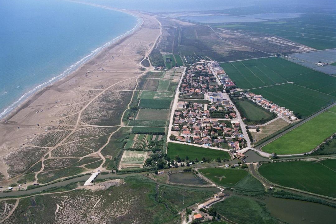 Photo of Others in L'Eucaliptus