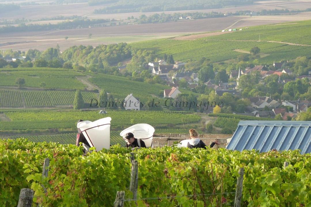 Photo of Others in Sancerre