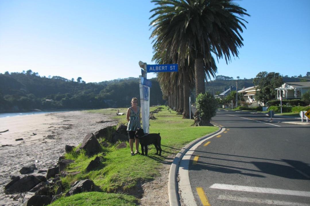 Photo of Others in Whitianga