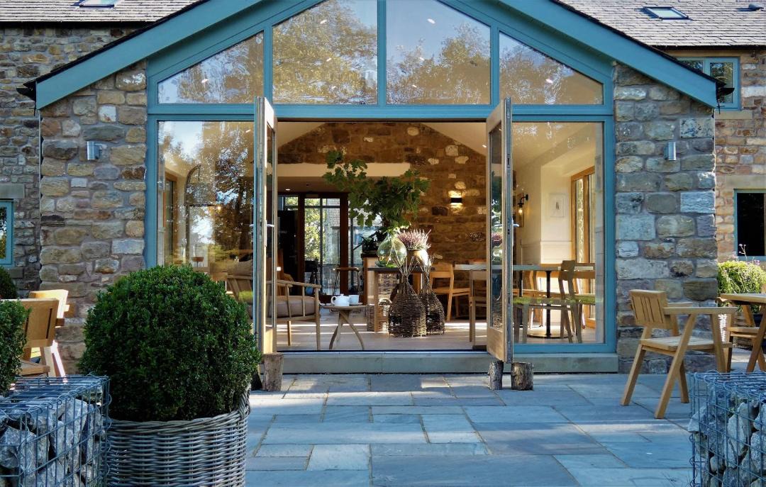 Photo of Others in Bay Horse