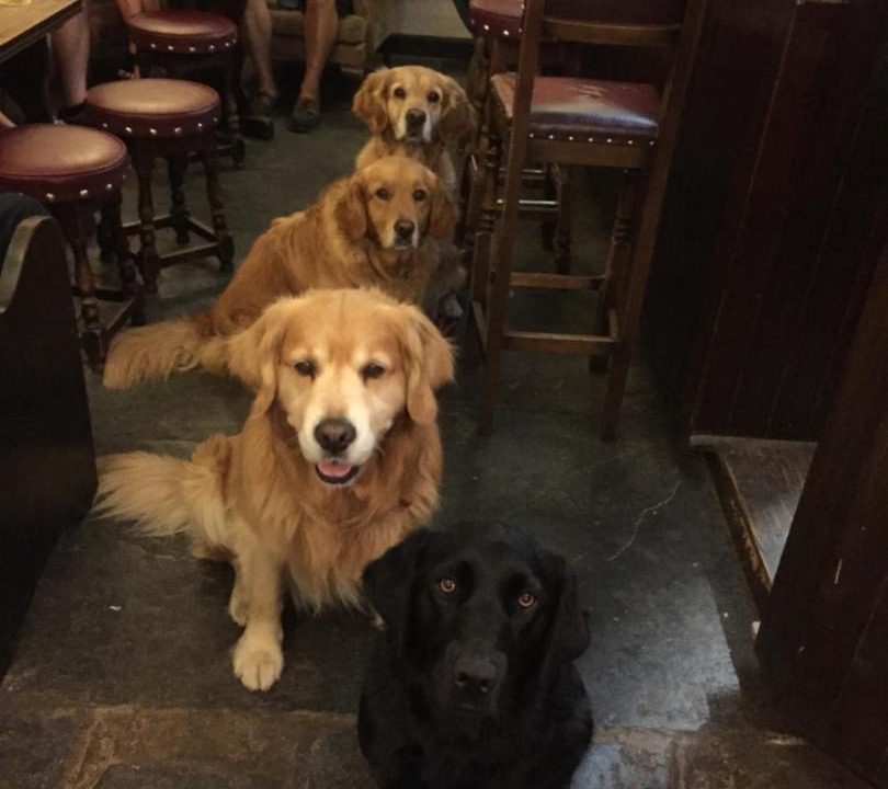 Photo of Others in Sherborne